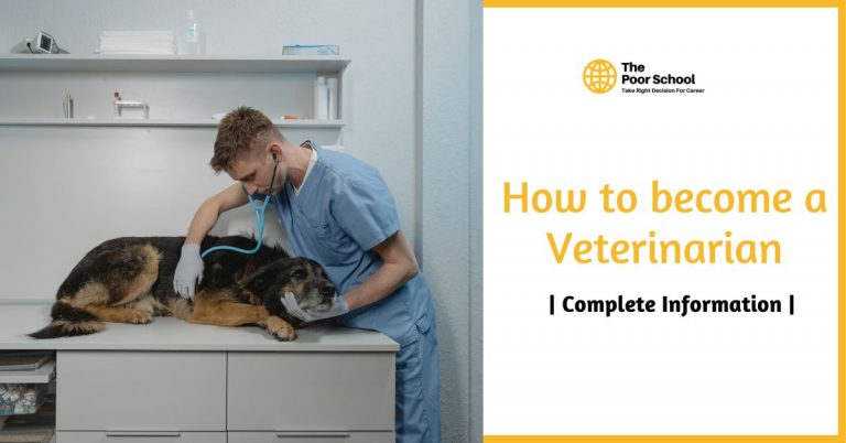 How To Become A Veterinarian Get Your Roadmap Now