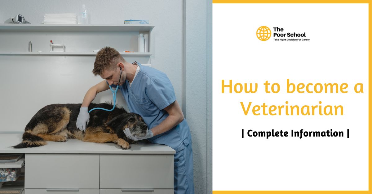 How to become a Veterinarian