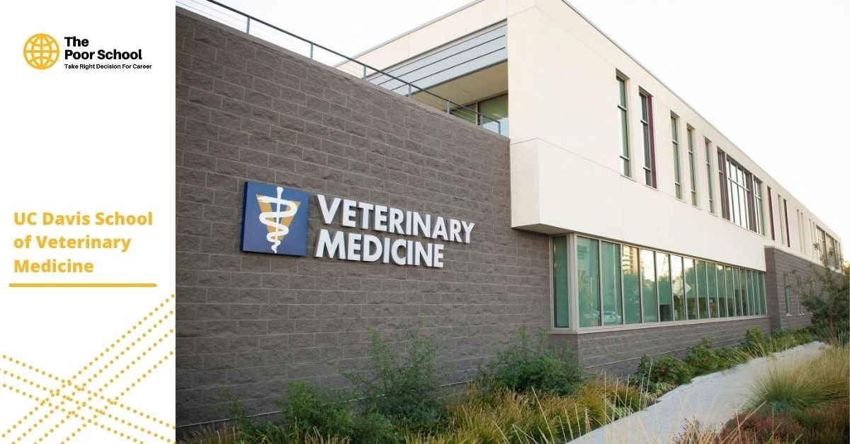 What Is The Best Vet School In The Country At Amelia Rodrigues Blog